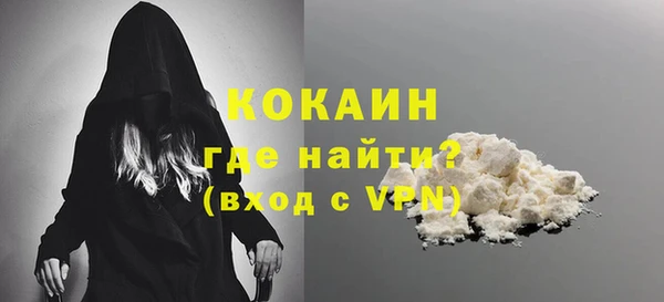 тгк Богородицк