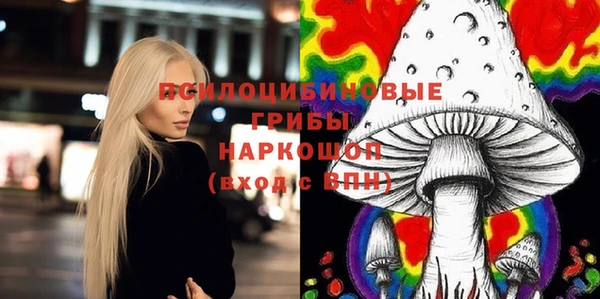 тгк Богородицк