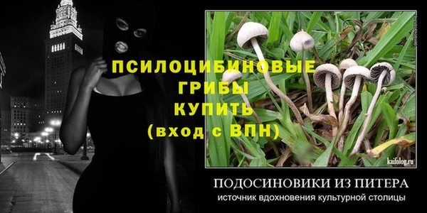 скорость Богданович