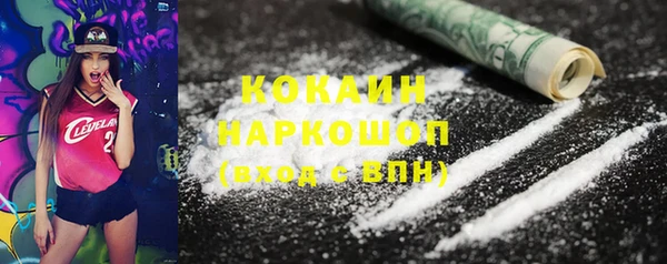 СК Богородск