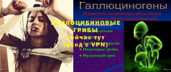 СК Богородск