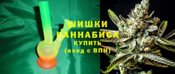 тгк Богородицк