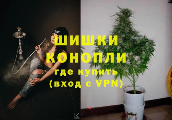 СК Богородск