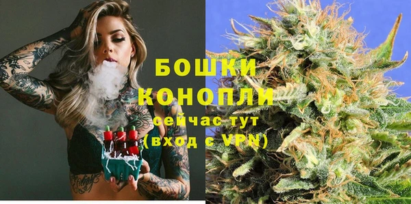 тгк Богородицк