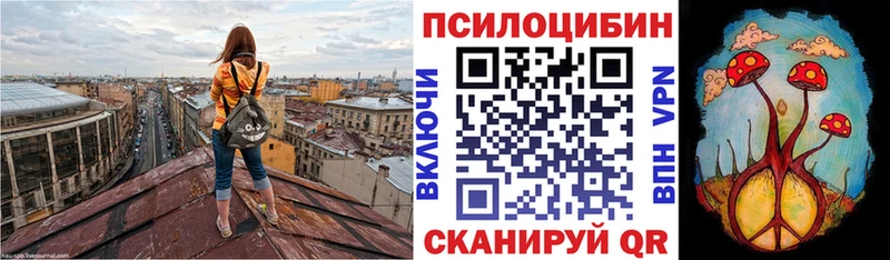 Псилоцибиновые грибы мухоморы  где купить наркоту  Верхняя Тура 